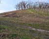 Grünland Waigolshausen Große Anzahl aktueller Bauernhäuser, Bauernhöfe, Reiterhöfe, alte Mühlen - hier finden auch Sie IHR Bauernhaus, Bauernhof, Reiterhof oder alte Mühle!